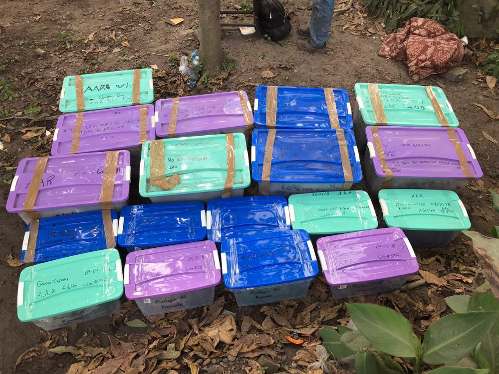 Cajas con restos humanos clasificados según el terreno en donde se ubicaron.
Fotografía por Antigua al Rescate